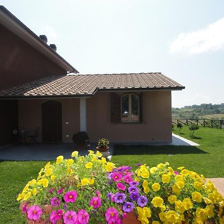 Апартаменты Poggio Novello Peccioli Экстерьер фото